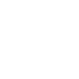 Delivery of Stone